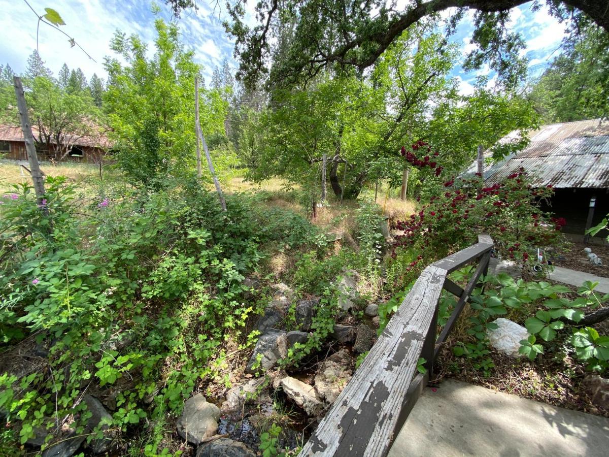 Vans Yosemite Garden Cottage Groveland Extérieur photo